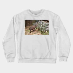 Babirusa Crewneck Sweatshirt